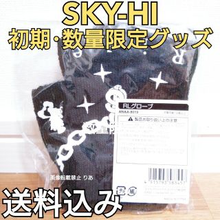 トリプルエー(AAA)の【商品説明欄必読】 数量限定グッズ SKY-HI RLグローブ AAA(ミュージシャン)