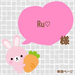 ｟Ru♡様｠専用ページ(オーダーメイド)