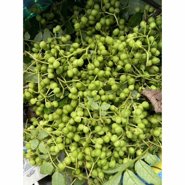 ムラーノ様専用商品】花山椒 新潟県産 SALE&送料無料 - aguapreta.pe