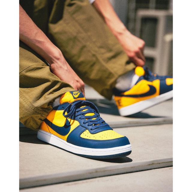 NIKE(ナイキ)のTerminator Low "University Michigan メンズの靴/シューズ(スニーカー)の商品写真