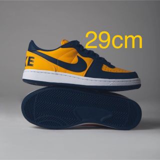 ナイキ(NIKE)のTerminator Low "University Michigan(スニーカー)