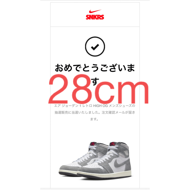 NIKE エアジョーダン1 SmokeGrey 28cm