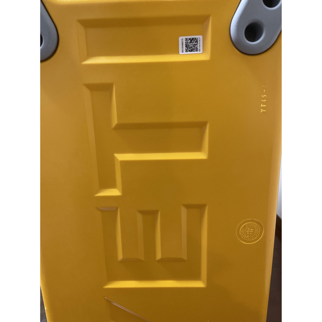 YETI】 TUNDRA 45 限定色 アルパインイエロー | www.innoveering.net