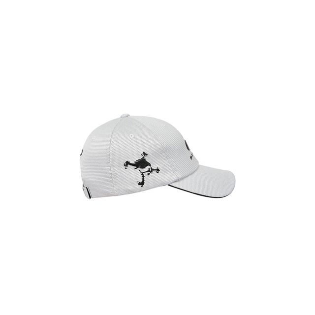 PALACE OAKLEY 6-PANEL SILVER / BLACK