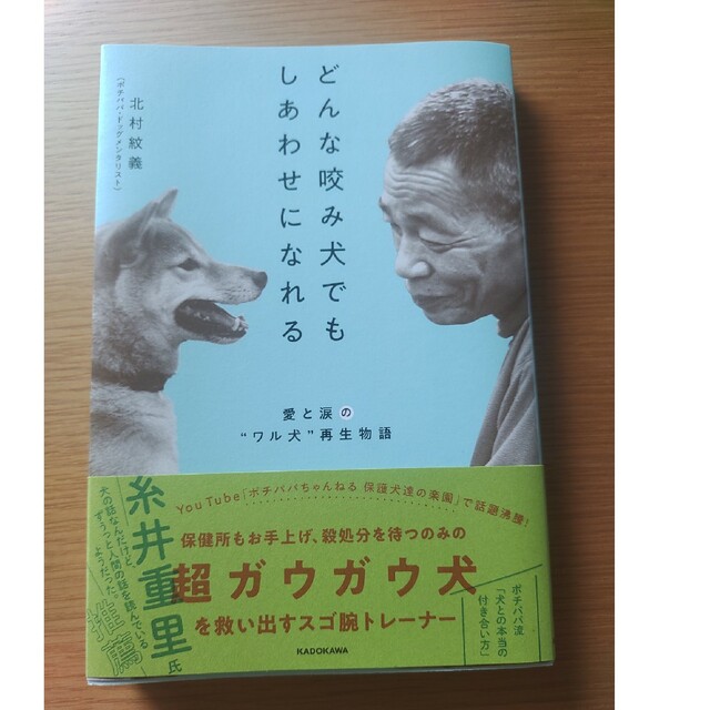 どんな咬み犬でもしあわせになれる 愛と涙の“ワル犬”再生物語 エンタメ/ホビーの本(文学/小説)の商品写真