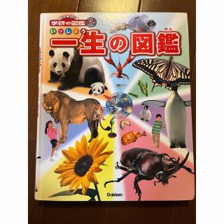 ガッケン(学研)の(おまけ付き)一生の図鑑(絵本/児童書)