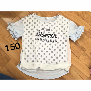 半袖シャツ　150(Tシャツ/カットソー)