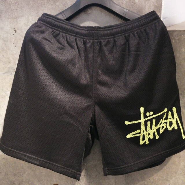 約3847cm股上【極美品　BIG BASIC】STUSSY ステューシー　ロゴ　ショートパンツ