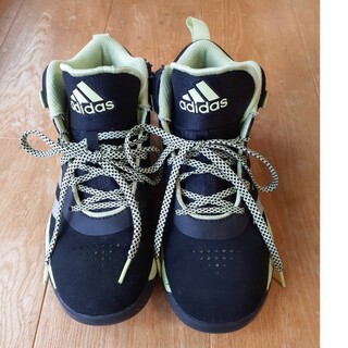 アディダス(adidas)のアディダス　バッシュ　バスケットボールシューズ　体育館靴　25㎝(スニーカー)