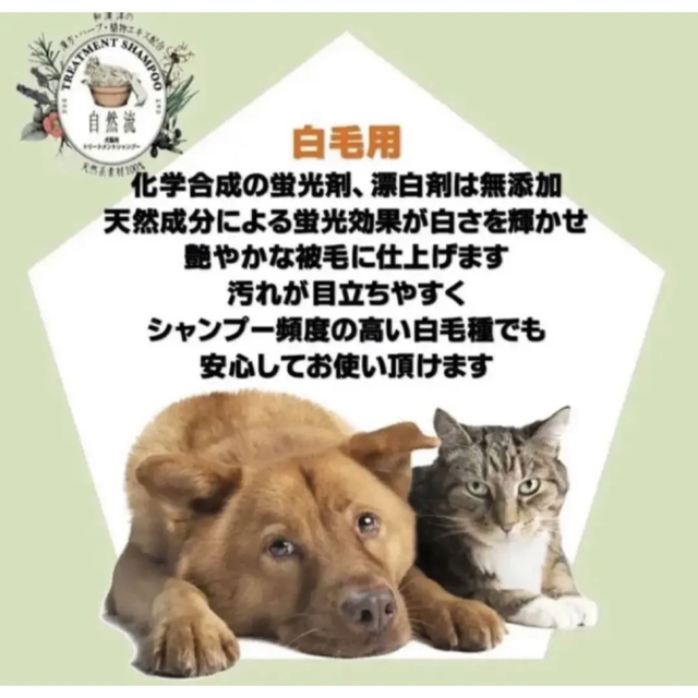 【自然流】犬用シャンプー白毛用シャンプー300ml x3本セット その他のペット用品(犬)の商品写真