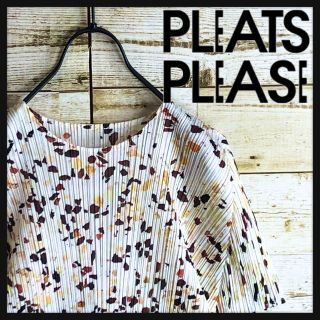 プリーツプリーズイッセイミヤケ(PLEATS PLEASE ISSEY MIYAKE)のプリーツプリーツ 半袖 tシャツ マルチカラー 美品(シャツ/ブラウス(半袖/袖なし))