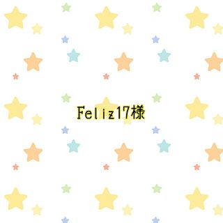 Feliz17様　給食袋&ランチマット２組(外出用品)