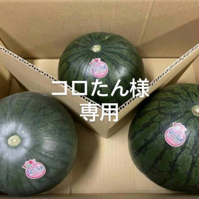 コロたん様専用 食品/飲料/酒の食品(フルーツ)の商品写真