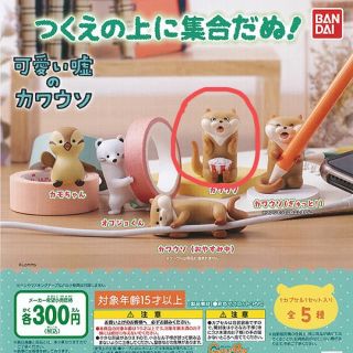 可愛い嘘のカワウソ つくえの上に集合だぬ！ ガチャガチャ(キャラクターグッズ)