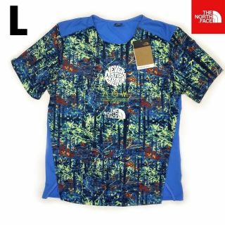 ザノースフェイス(THE NORTH FACE)のUSA限定ノースフェイストレイルFlashDry-Proストレッチ速乾TシャツL(Tシャツ/カットソー(半袖/袖なし))