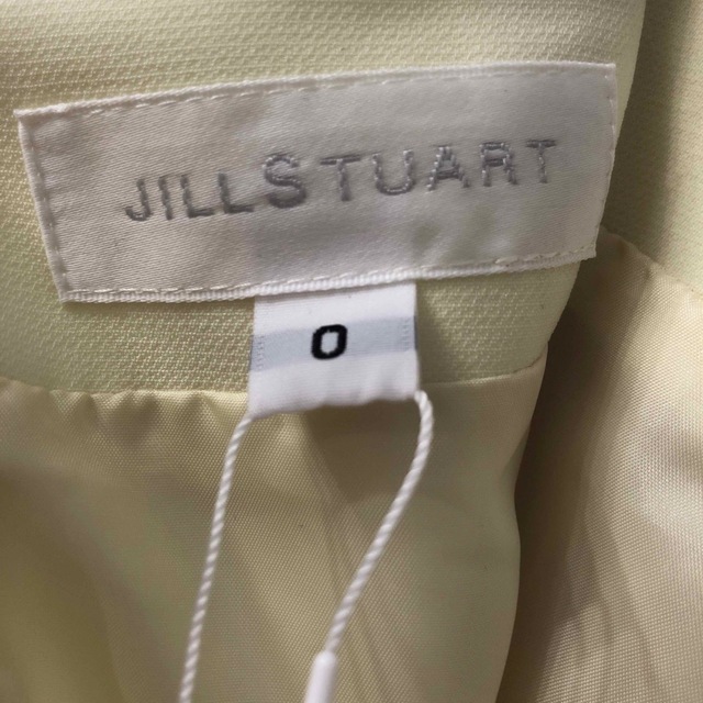 JILLSTUART(ジルスチュアート)の新品:切替プリーツスカート レディースのスカート(ひざ丈スカート)の商品写真