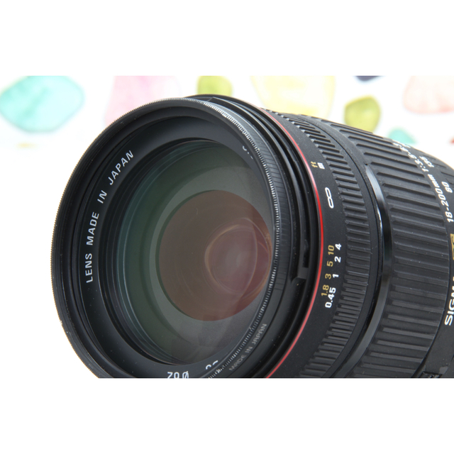 ♥︎広角から望遠までこなせます♪ ◇SIGMA 18-200mm キャノン用