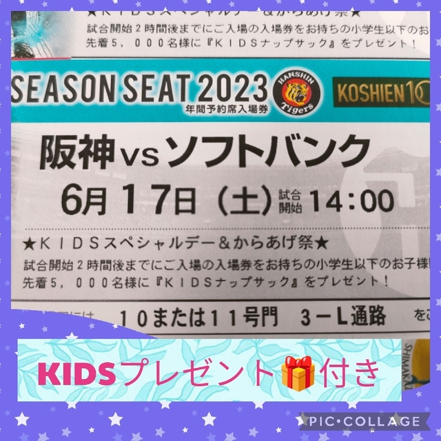 阪神タイガース(ハンシンタイガース)の【⭐格安⭐】6/17(土)vs.ソフトバンク戦 ブリーズシート【ペア・雨補有】 チケットのスポーツ(野球)の商品写真