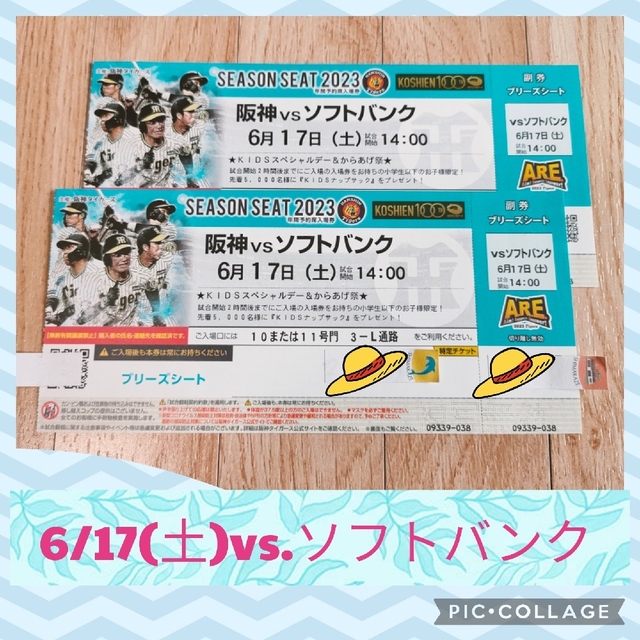 阪神タイガース(ハンシンタイガース)の【⭐格安⭐】6/17(土)vs.ソフトバンク戦 ブリーズシート【ペア・雨補有】 チケットのスポーツ(野球)の商品写真