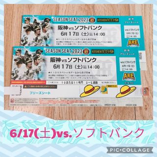 ハンシンタイガース(阪神タイガース)の【⭐格安⭐】6/17(土)vs.ソフトバンク戦 ブリーズシート【ペア・雨補有】(野球)