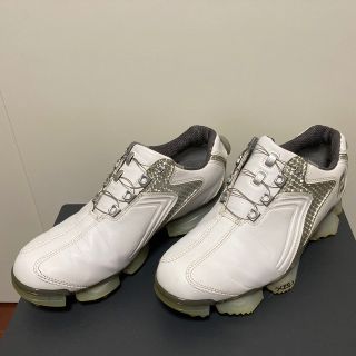 フットジョイ(シルバー/銀色系)の通販 45点 | FootJoyを買うならラクマ