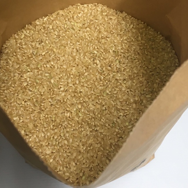 む。様専用 無農薬コシヒカリ普通精米20kg(5kg×4)令和4年 徳島県産 食品/飲料/酒の食品(米/穀物)の商品写真