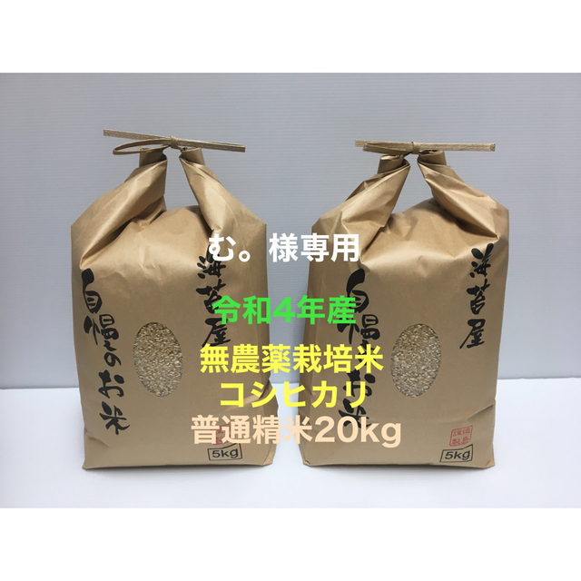 む。様専用 無農薬コシヒカリ普通精米20kg(5kg×4)令和4年 徳島県産 食品/飲料/酒の食品(米/穀物)の商品写真