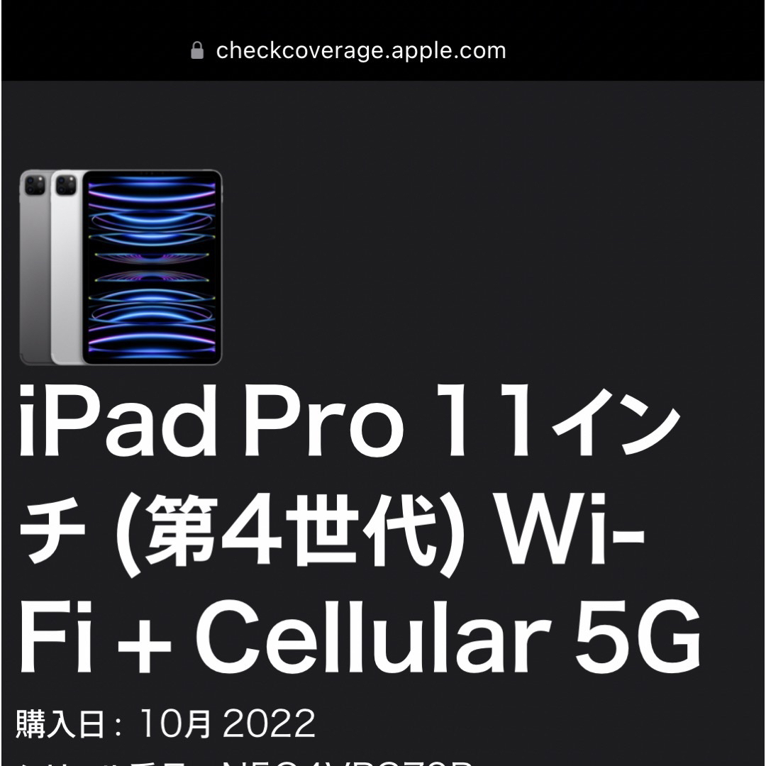 iPad - Apple iPad Pro 11 Wi-Fi + セルラーモデル256GBの通販 by