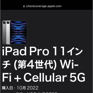 iPad  Pro（第1世代）Cellular 256GB ＋おまけ