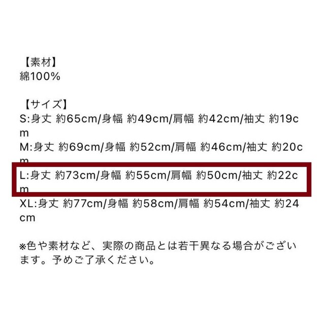 2002年春 あいみょん 初甲子園ライブ記念Tシャツ サーチライト グッズ