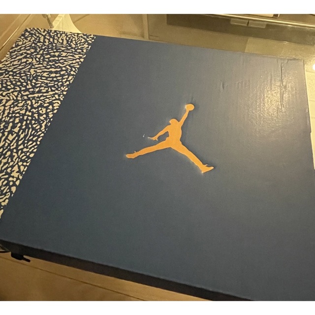 NIKE(ナイキ)のAir Jordan 3 Retro  True Blue and Copper メンズの靴/シューズ(スニーカー)の商品写真