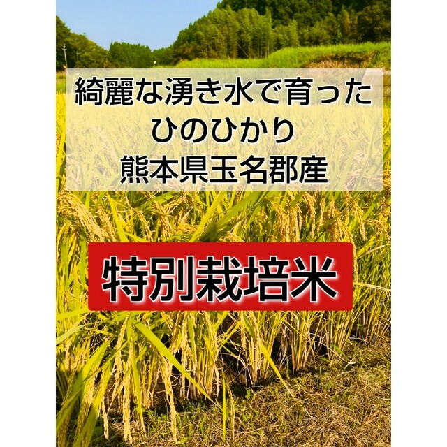 熊本県産★ヒノヒカリ１．８キロ★綺麗な湧き水で育った新米★特別栽培米 食品/飲料/酒の食品(米/穀物)の商品写真