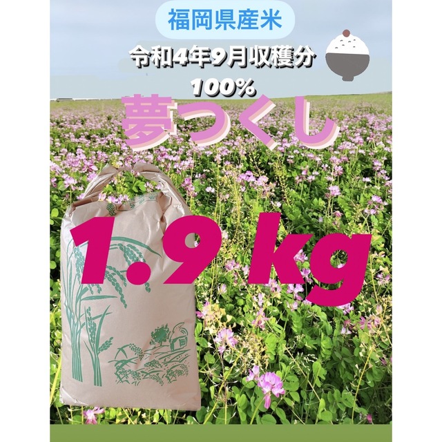 令和4年度　福岡県産米　1.9キロ 食品/飲料/酒の食品(米/穀物)の商品写真