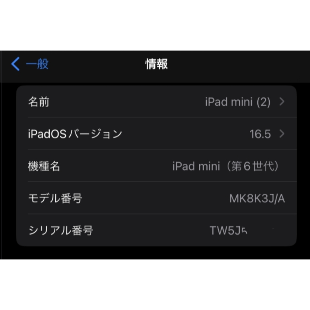 【美品】おまけ有 iPadmini 第6 256GB セルラー 7