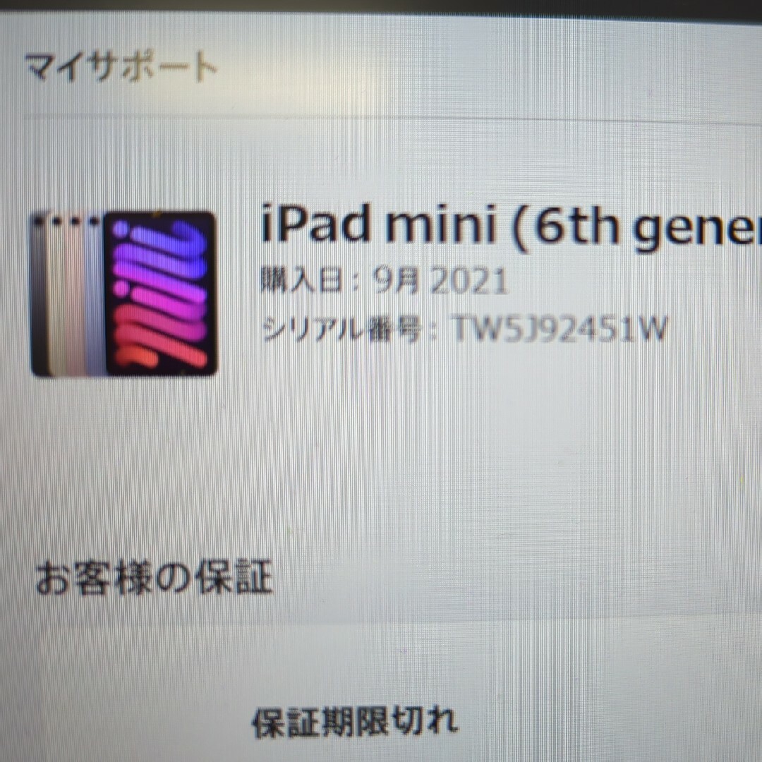 【美品】おまけ有 iPadmini 第6 256GB セルラー 9