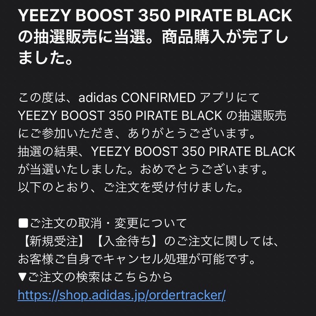 adidas YEEZY Boost 350 "Pirate Black" 28