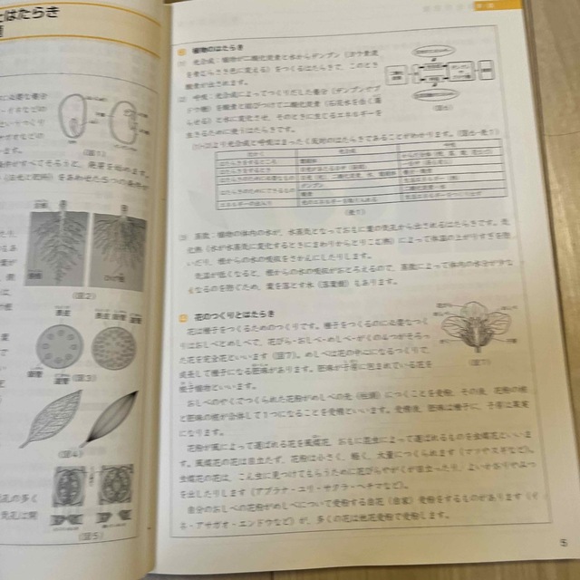 予習シリーズ　公立中高一貫校対策　理系　上下　四谷大塚 その他のその他(その他)の商品写真