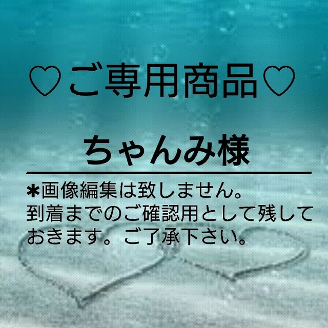即発送可能】 はろみちゃん様専用です。ありがとうございます