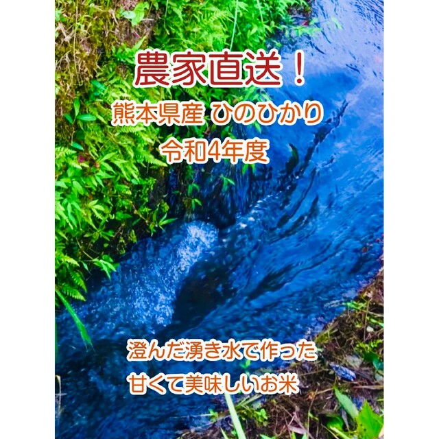 熊本県産★ヒノヒカリ５キロ★綺麗な湧き水で育った新米★特別栽培米 食品/飲料/酒の食品(米/穀物)の商品写真