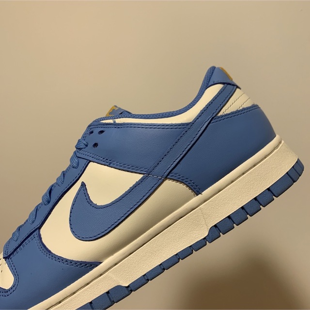 Nike WMNS Dunk Low "Coast" ダンクローコースト