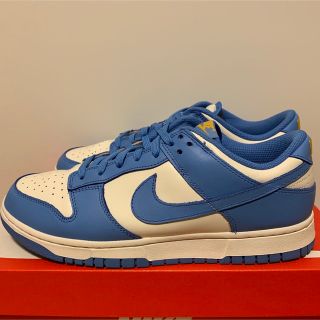 Nike WMNS Dunk Low "Coast" ダンクローコースト