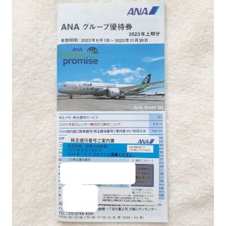 ANA　株主優待券(航空券)