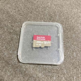 サンディスク(SanDisk)のサンディスク　エクストリーム　256GB(その他)