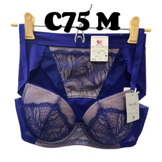 ワコール(Wacoal)のワコール C75  [Sheer Bra] シアーブラ ブラジャー &ショーツ(ブラ&ショーツセット)