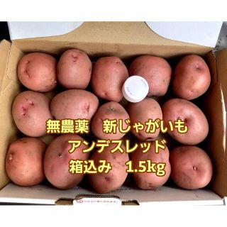 無農薬　新じゃがいも　アンデスレッド　箱込み1.5kg(野菜)