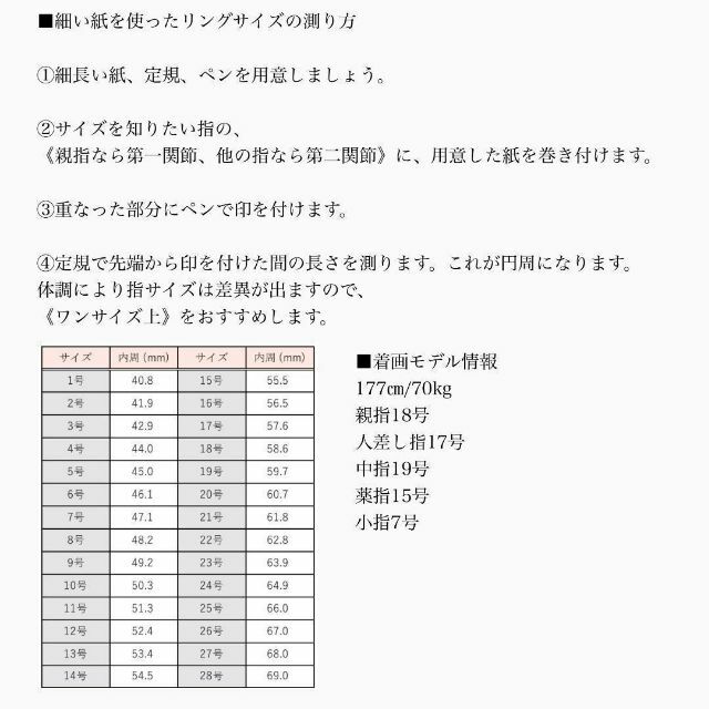 sg09 55 V メンズ　シグネットリング シルバー925 オニキス 20号