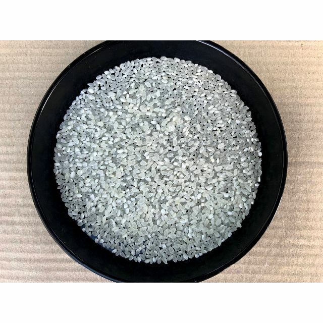 令和4年産！ 山形県産【はえぬき】白米40kg 中粒米