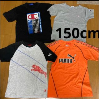 プーマ(PUMA)の150cm 男の子 半袖Tシャツ 夏服 まとめ売り プーマ チャンピオン 4枚(Tシャツ/カットソー)