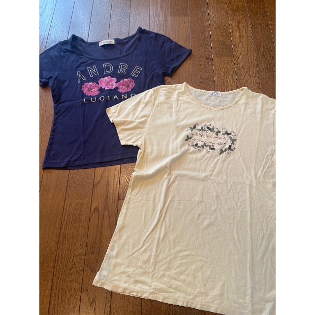Tシャツ２枚セット レディースのトップス(Tシャツ(半袖/袖なし))の商品写真