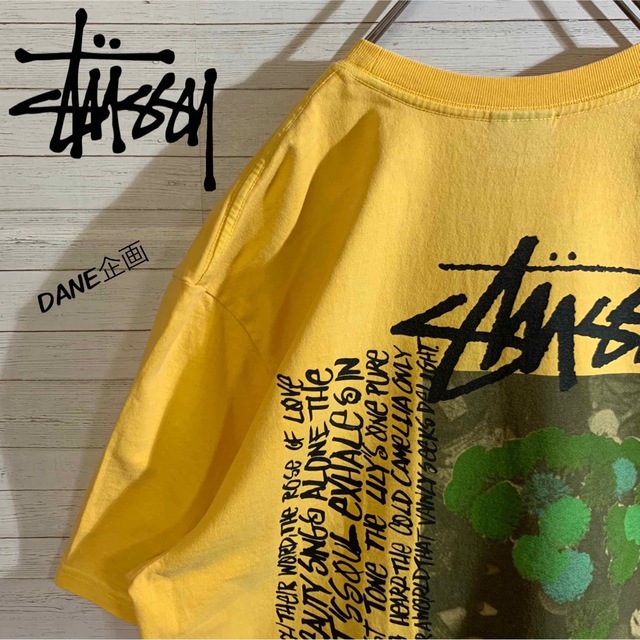 【STUSSY】ステューシー 希少デザイン 人気 バックプリント Tシャツ